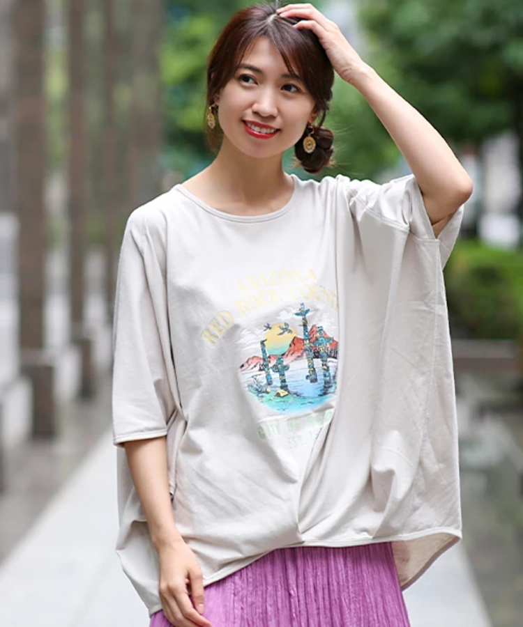 Kさん専用ページ アリゾナプリントデザインプルオーバー / Tシャツ・カットソー
