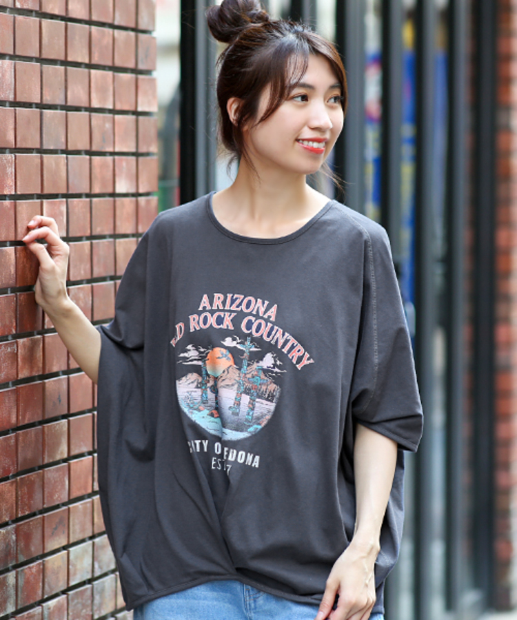 アリゾナプリントデザインプルオーバー / Tシャツ・カットソー