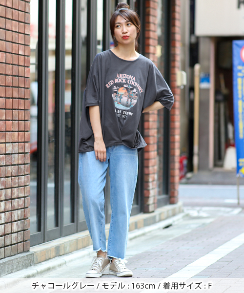 アリゾナプリントデザインプルオーバー / Tシャツ・カットソー