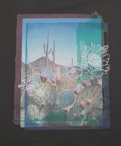 チチカカ |バックフォトプリントTシャツ