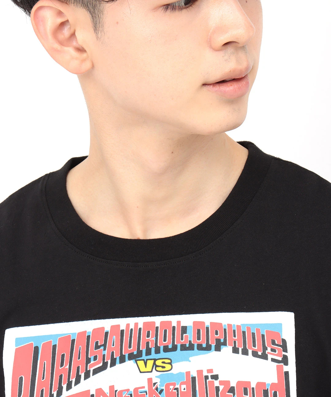 ダイナソーバトルTシャツ / Tシャツ・カットソー | エスニック