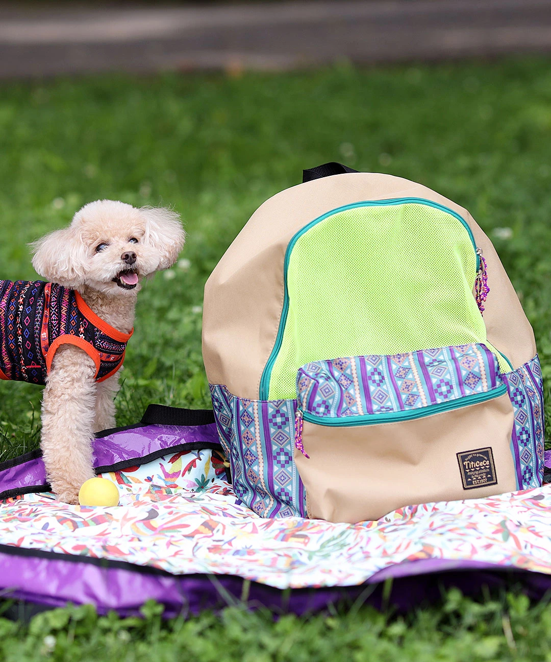 ペットキャリーリュック【WEB限定】 / リュックサック・デイパック