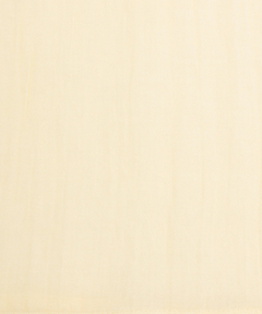 チチカカ |袖ボリュームシアーブラウス