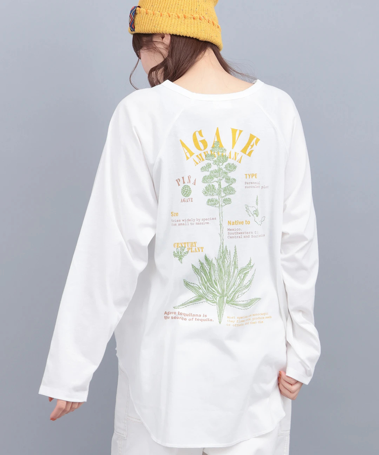 チチカカ |Orale! アガベプリントラウンドヘムロングTシャツ
