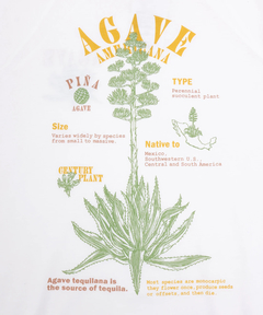 チチカカ |Orale! アガベプリントラウンドヘムロングTシャツ