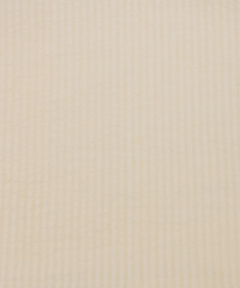 チチカカ |Orale! シアサッカーピグメントシャツ