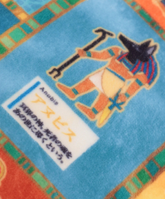 チチカカ |大人の図鑑コラボ ダイカットクッション