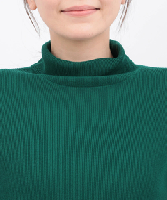 チチカカ |バイカラーリブタートルニット