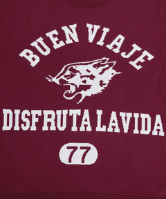 チチカカ |Orale! カレッジロゴニットプルオーバー