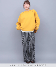 チチカカ |サンフェイスエンブロイダリー スウェットライクニットプルオーバー