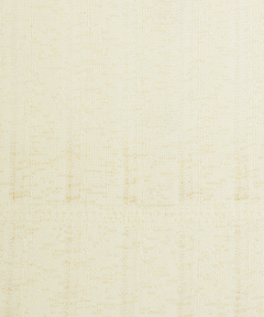 チチカカ |Orale! シアーロングスリーブTシャツ